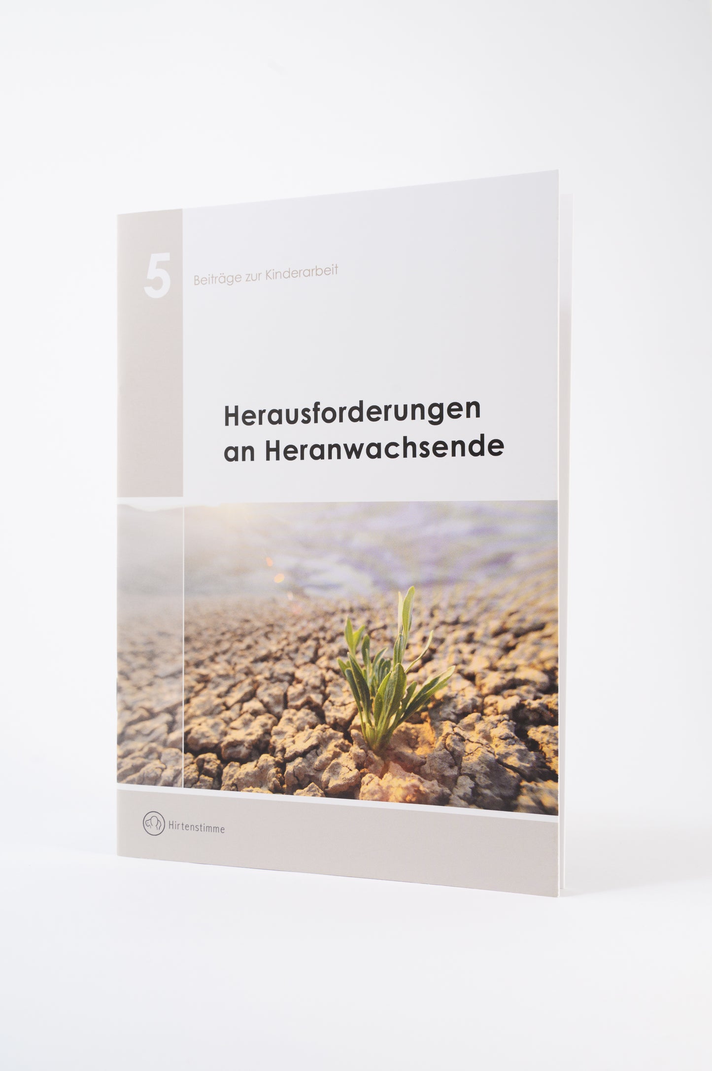 Herausforderungen an Heranwachsende