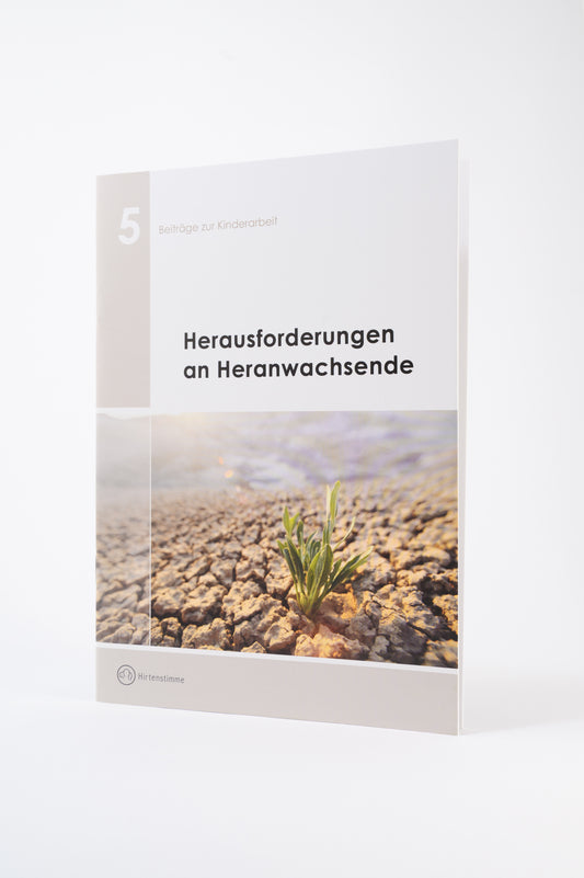 Herausforderungen an Heranwachsende